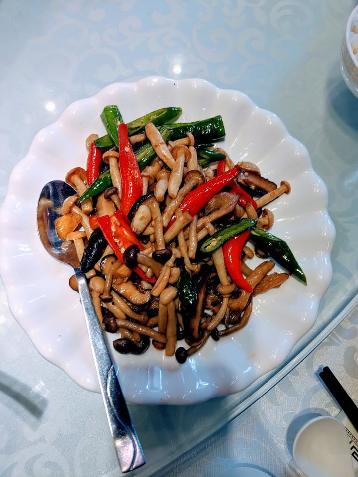 photo of 成都Chengdu Stir Fried Mushrooms shared by @paloma on  05 Nov 2019 - review