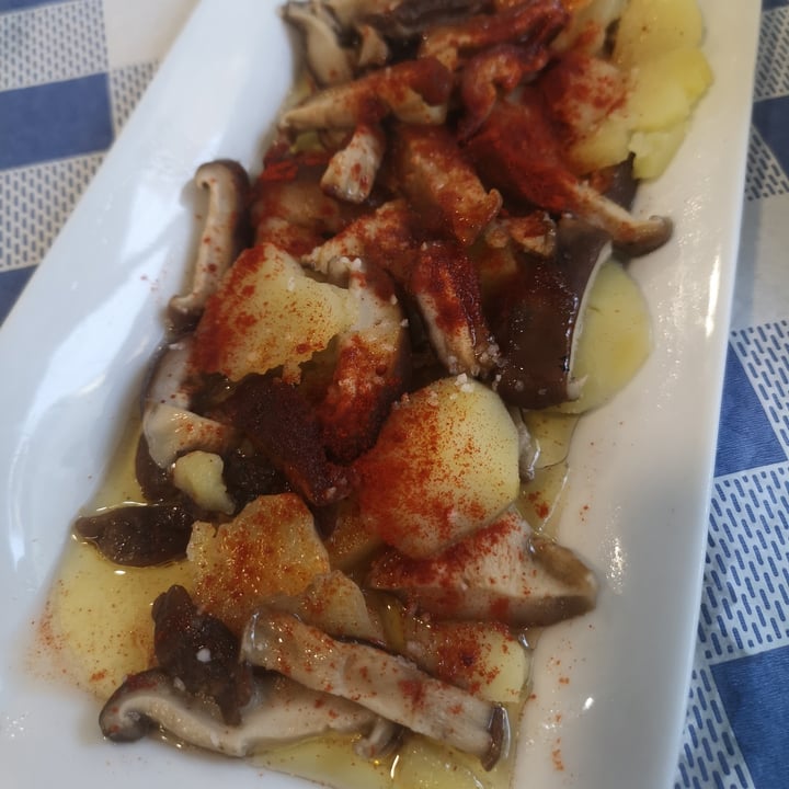 review photo of Thundersgreen Shitake a feira shared by @pawwgreen on 13 Jan 2022 - review