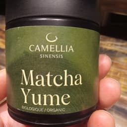 Camellia