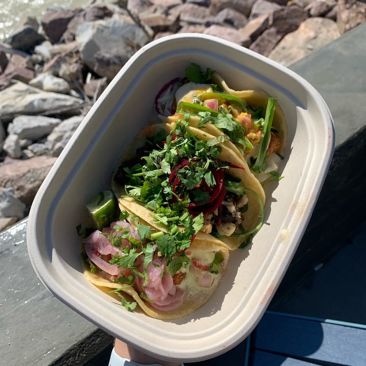 photo of Reposados Tacos shared by @jjosiespence on  25 Aug 2022 - review
