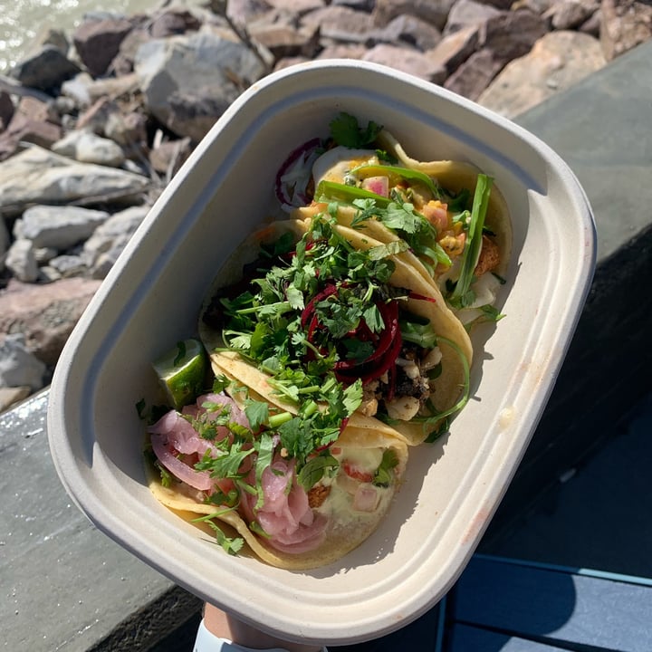 review photo of Reposados Tacos shared by @jjosiespence on 25 Aug 2022 - review