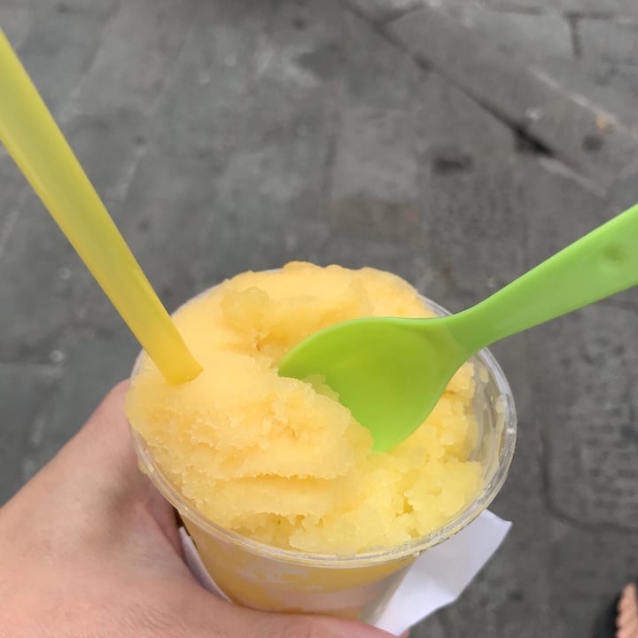 review photo of La Cremeria delle Erbe Vegan gelati and granite shared by @fuzzyd on 10 Sep 2019 - review