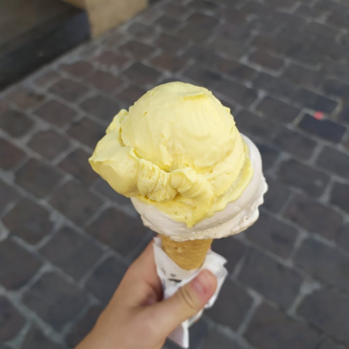 review photo of oyya - waffles and ice cream Gelato shared by @kkami-sama on 19 Aug 2022 - review