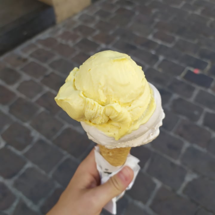 photo of oyya - waffles and ice cream Gelato shared by @kkami-sama on  19 Aug 2022 - review