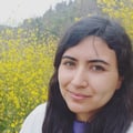 dantelia @dantelia profile image