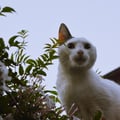 yaniferz @yaniferz profile image
