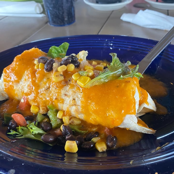 photo of Tortuga Jacks Jekyll veggie burrito shared by @santo-vegano on  15 Jun 2022 - review