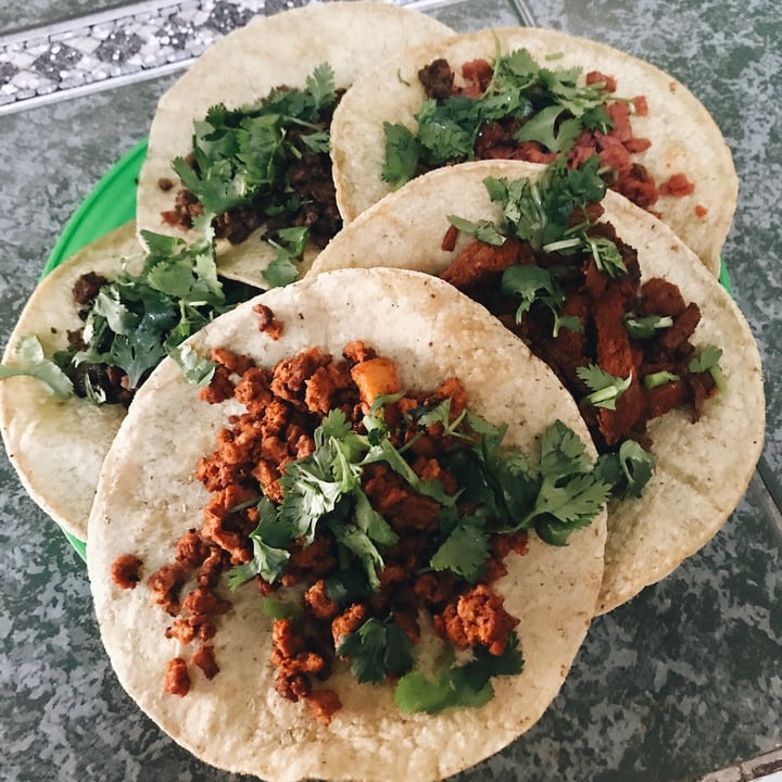 review photo of Gopals Tacos De Guisados shared by @thishanabee on 24 Apr 2021 - review