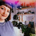 aliciue @aliciue profile image