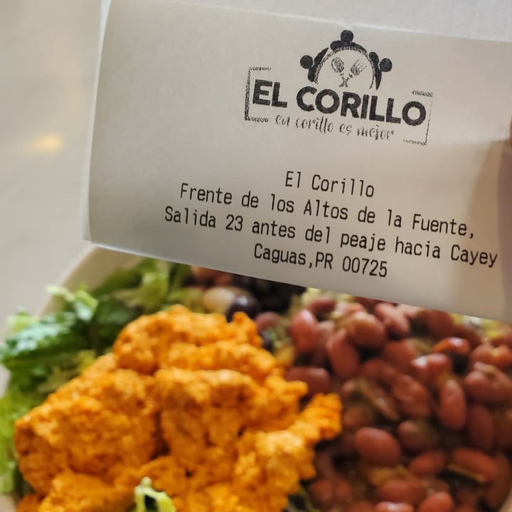 photo of El Corillo Restaurant Platéalo Vegano shared by @lliguerpr96 on  01 Jul 2022 - review