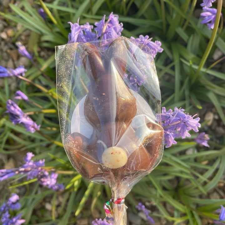 photo of Happi Oat Milk Chocolate Bunny Lolly shared by @familywanderful on  19 Apr 2022 - review