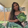 rootedhoneybee @rootedhoneybee profile image