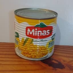 Minas+