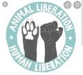 cucinavegan @cucinavegan profile image