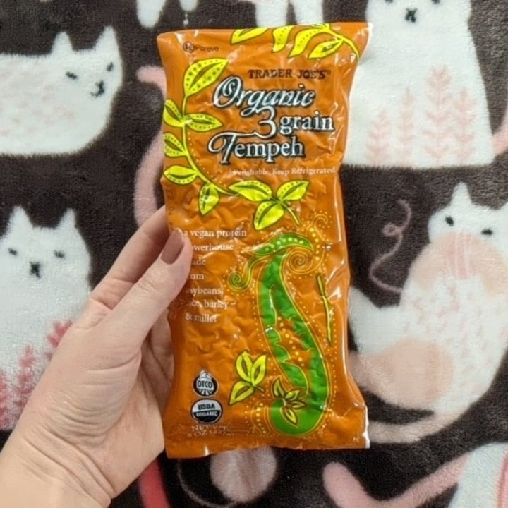 Trader Joe's Organic 3 Grain Tempeh Review abillion