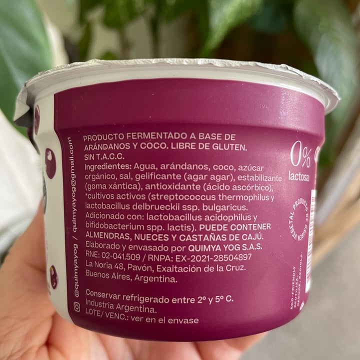 photo of Qymia Yogurt de arándanos shared by @pini2308 on  06 Sep 2022 - review