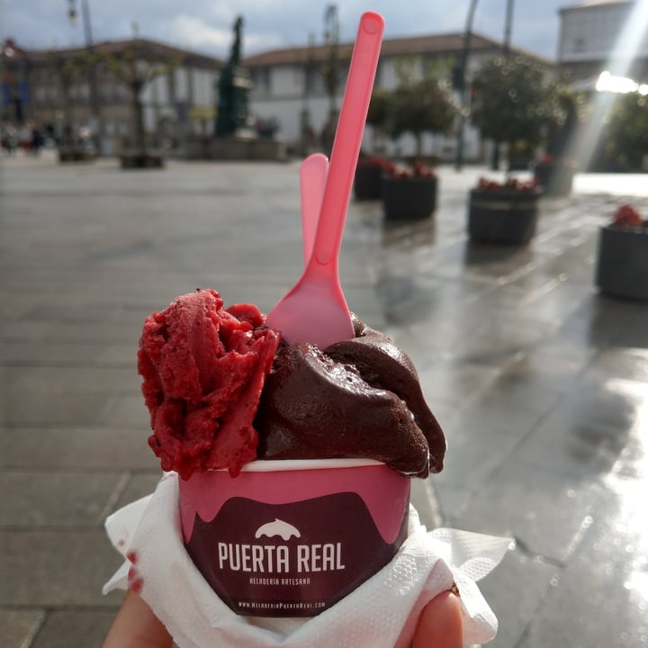 photo of Puerta Real Chocolate and Berries Ice Cream shared by @chiaraclaire on  24 Apr 2022 - review