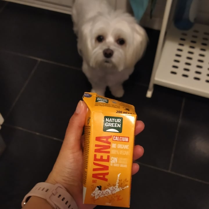 review photo of NATUR GREEN Leche de Avena Calcium shared by @ninafr on 04 May 2022 - review