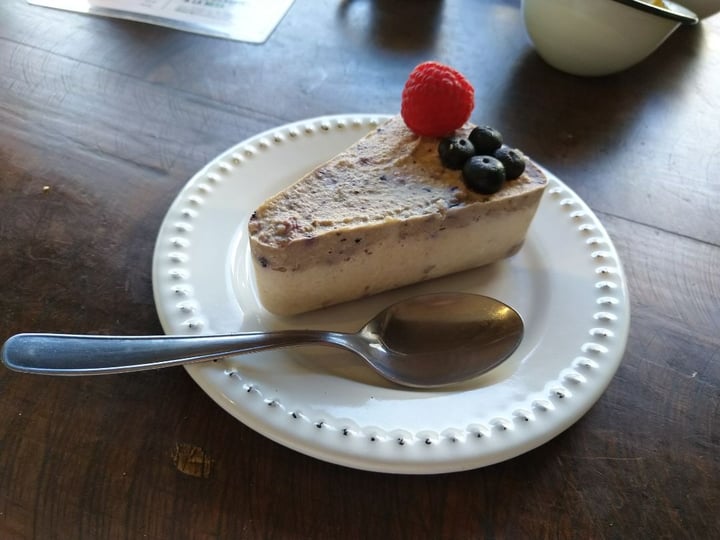 photo of Mesa Verde Blueberry Pay shared by @tlacomiztli on  02 Mar 2020 - review