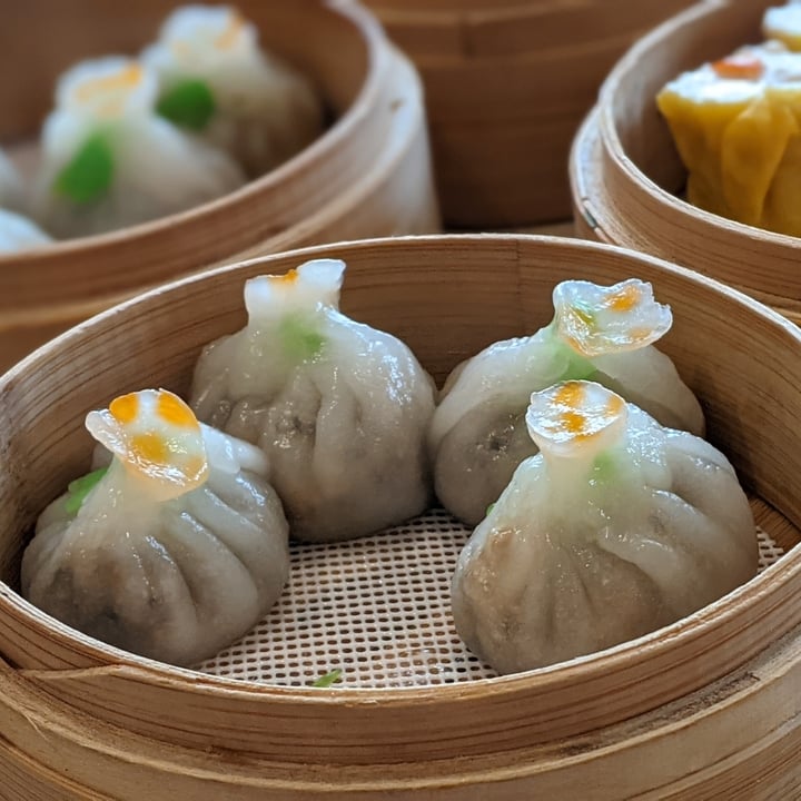 photo of Lotus Vegetarian Restaurant Truffle Mixed Mushroom Dumplings shared by @xinru-t on  19 Jan 2021 - review
