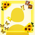 annyflower @annyflower profile image