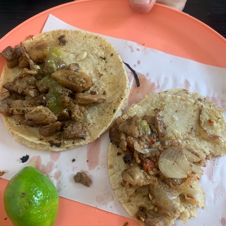 photo of La Cochera Vegana Taquería tacos de carnitas shared by @apaulapimentel on  12 Jul 2022 - review