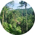 plantbasedstorm @plantbasedstorm profile image