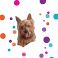 selmakem @selmakem profile image