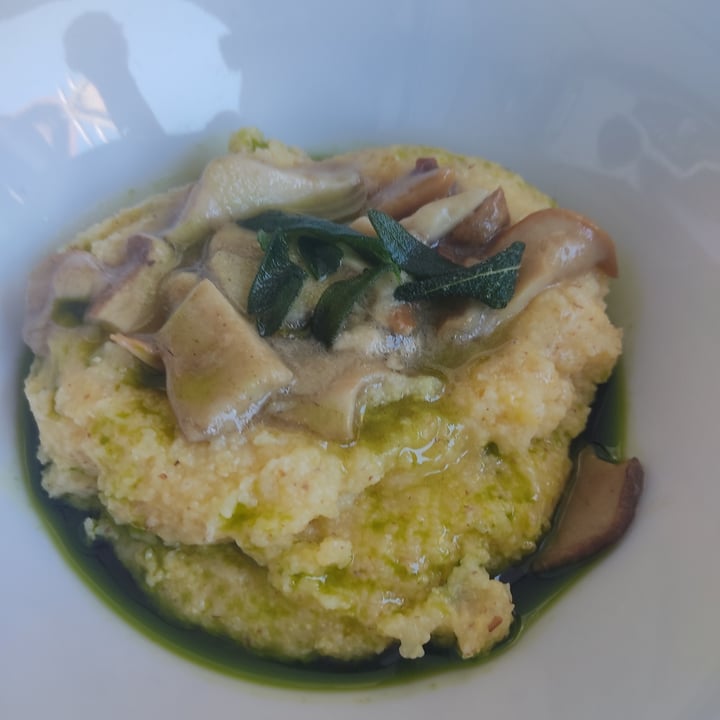photo of Caffè del Tasso 1476 polenta con funghi shared by @weed14 on  09 Oct 2022 - review