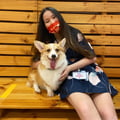 serenqipity @serenqipity profile image