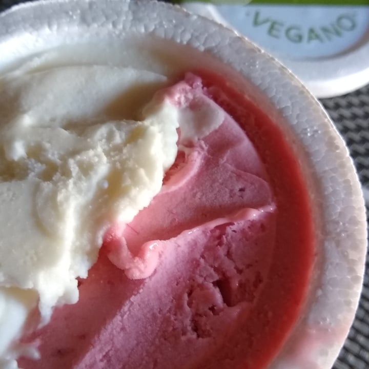 review photo of Las Leñas Helado artesanal vegano. Chocolate blanco y frutillas a la reina. Riquísimo!! shared by @dairizz on 30 Jan 2022 - review