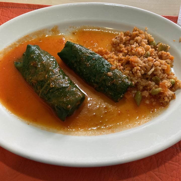 photo of Elihir Rollitos de acelga relleno de quinoa shared by @maumamu on  17 Jun 2021 - review