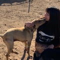 labebelyn @labebelyn profile image