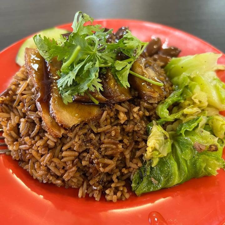 photo of Makan Vegan Geylang Vegan Duck Rice shared by @vegan-ravana on  08 Aug 2022 - review