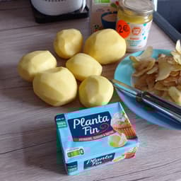 Planta Fin
