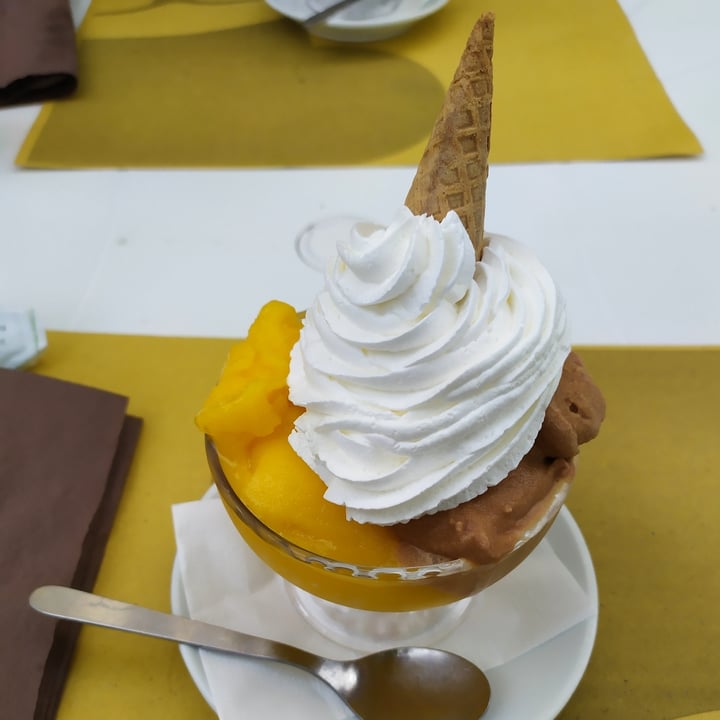 review photo of Ratatouille Vegan Food Coppa gelato 2 gusti shared by @senja on 07 Jun 2022 - review
