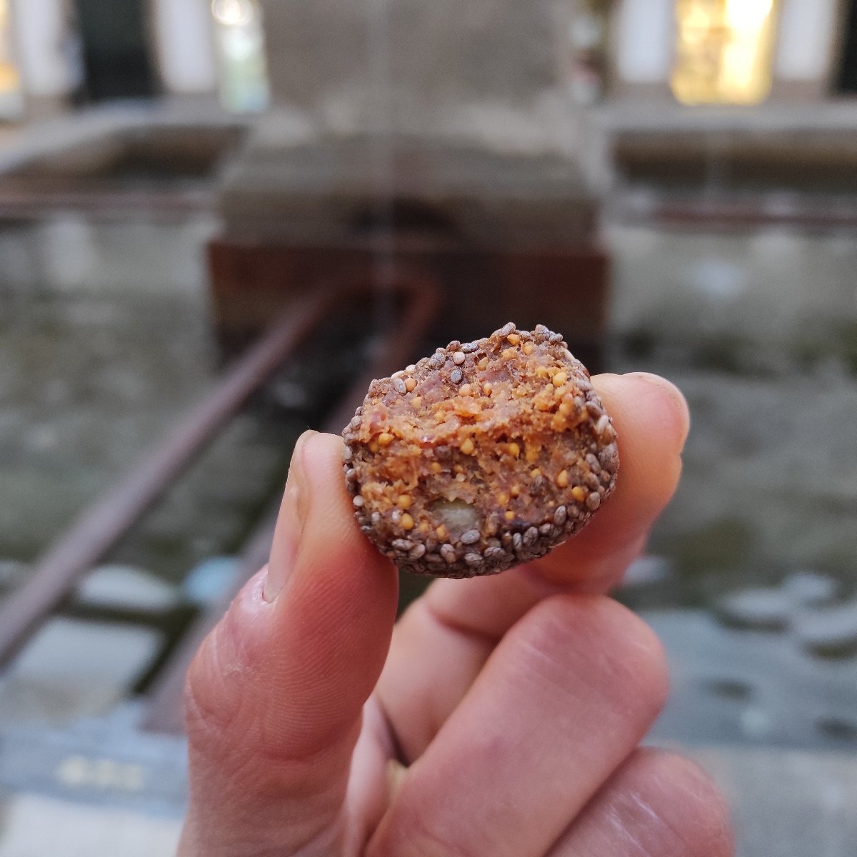 Trader Joe's Fruity Snackballs Fig, Walnut And Chia Seeds Reviews