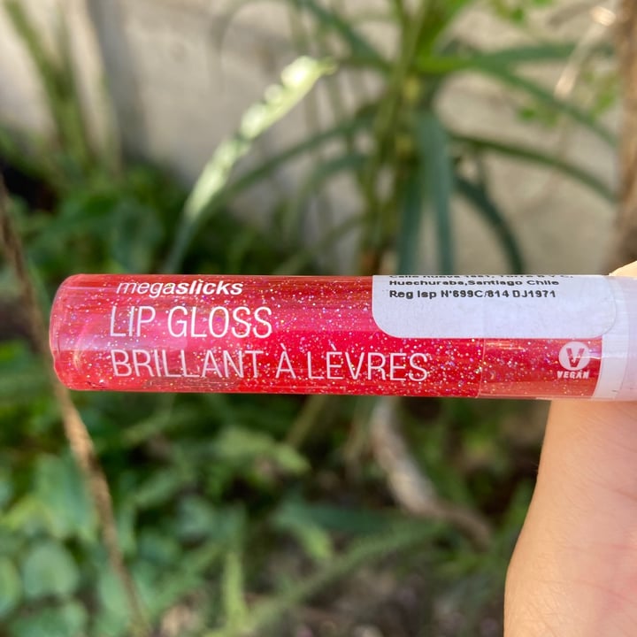 photo of Wet n Wild Beauty lip Gloss shared by @seit4n on  15 Sep 2021 - review