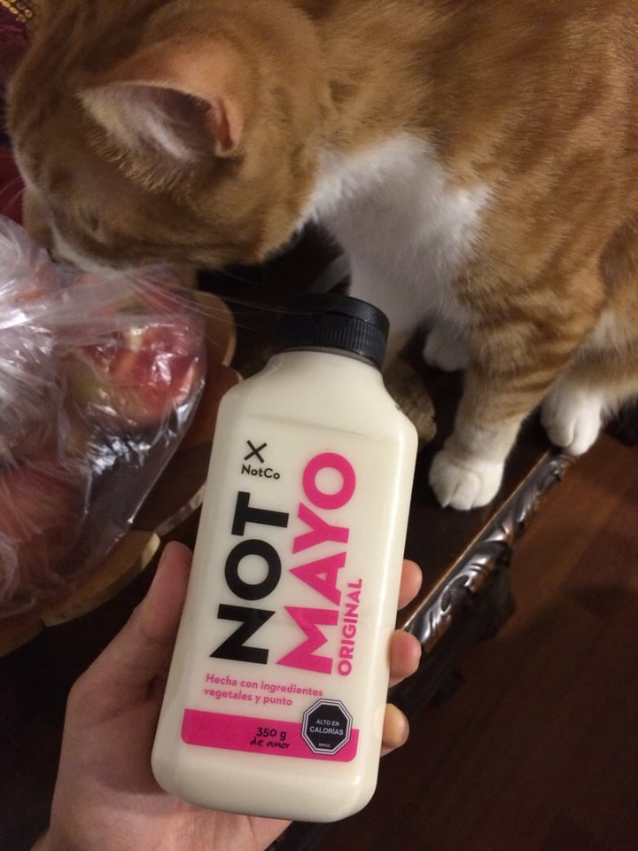 photo of NotCo Not Mayo Original shared by @svderu on  05 Feb 2020 - review