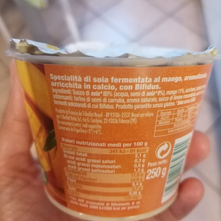 photo of Sojasun yogurt mango shared by @marlene3 on  09 Oct 2022 - review