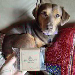 Brownie del Rey