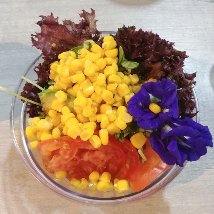 photo of nomVnom Tai Seng Organic Rainbow Salad shared by @iloveveggies on  24 Sep 2019 - review