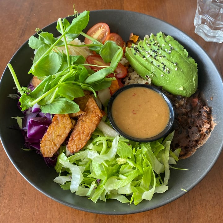 photo of The Green Edge Buddha bowl shared by @eloiseb on  17 Oct 2020 - review