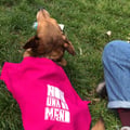 @susanna30 profile image