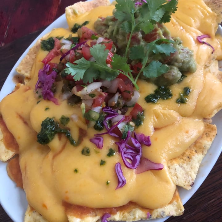 photo of The Fat Cactus Gardens Beeg Cheesy Nachos shared by @caittyler on  27 May 2021 - review