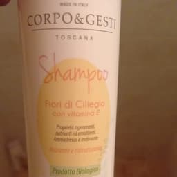 Corpo&Gesti