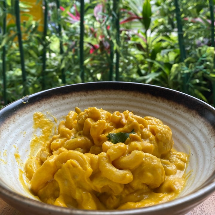 photo of The Plant Food Cauliflower Mac and Cheese shared by @piggy-egg on  06 Apr 2022 - review