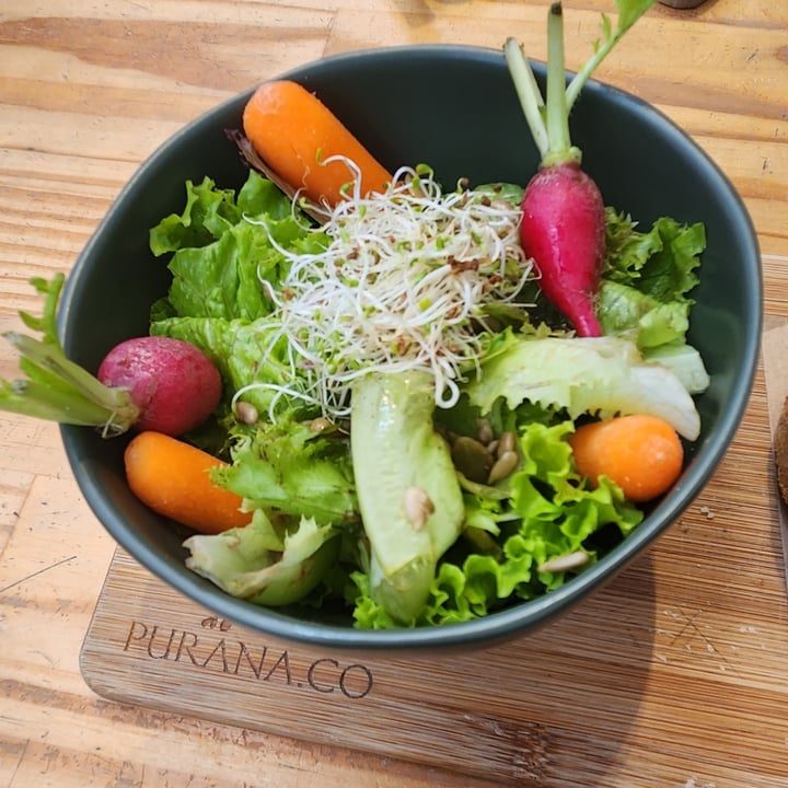 review photo of Purana.Co Torta de Pupunha com Ora-pro-nóbis shared by @patimurno on 15 Dec 2022 - review