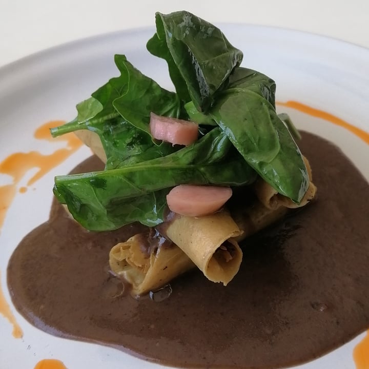 review photo of Calabacitas Tiernas Bistro Flautitas De No-pollo shared by @aixaveg on 16 May 2021 - review
