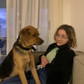 florgotkin @florgotkin profile image